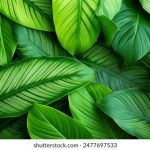 电影免费看的网站:畅享海量影视资源的最佳选择推荐 3xvvculoc