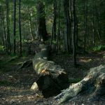 电脑版视频播放器:畅享高清影视体验的最佳选择与推荐 4jot1mw