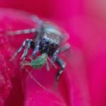 电影日本在线:畅享最新日本电影,尽在指尖轻松观看 7byq7d