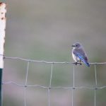 电影在线观看免费:畅享最新热门影片,无需付费轻松观看! fr1hde