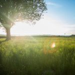 电影狗搜索网站:轻松找到你想看的电影与精彩影评 k27dy30psb