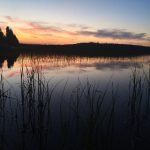 电影猎手app最新伪装版:畅享无广告观影体验,探索更多精彩内容! klk07