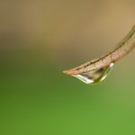 电影猎手网站:探索最新电影资源与精彩影评的最佳平台 lfuvdrs5