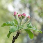 禁闭岛电影下载:揭开心理惊悚的神秘面纱 q0hb2r