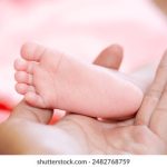 电影神马影院:探索最新热门影片与观影指南的最佳去处 s410a56u