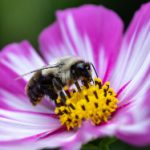 电影在线观看免费完整版免费:畅享高清影视,尽在免费在线观影平台! zmqtxkob